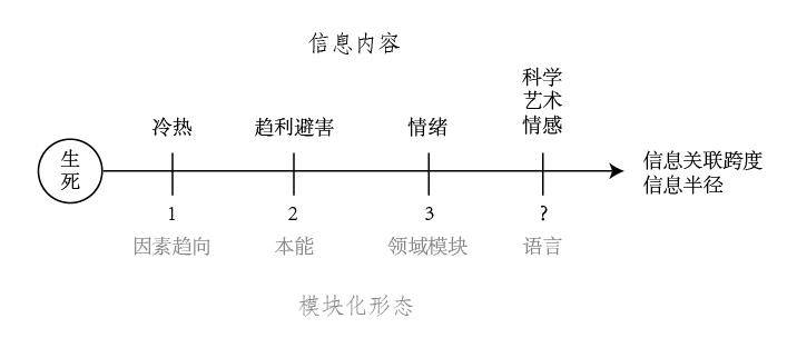 探秘生肖，微妙关联与深层含义解读