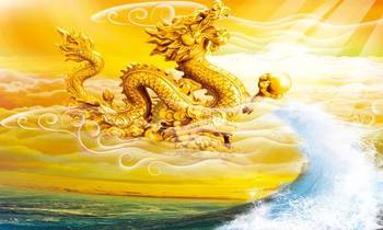 热文 第628页